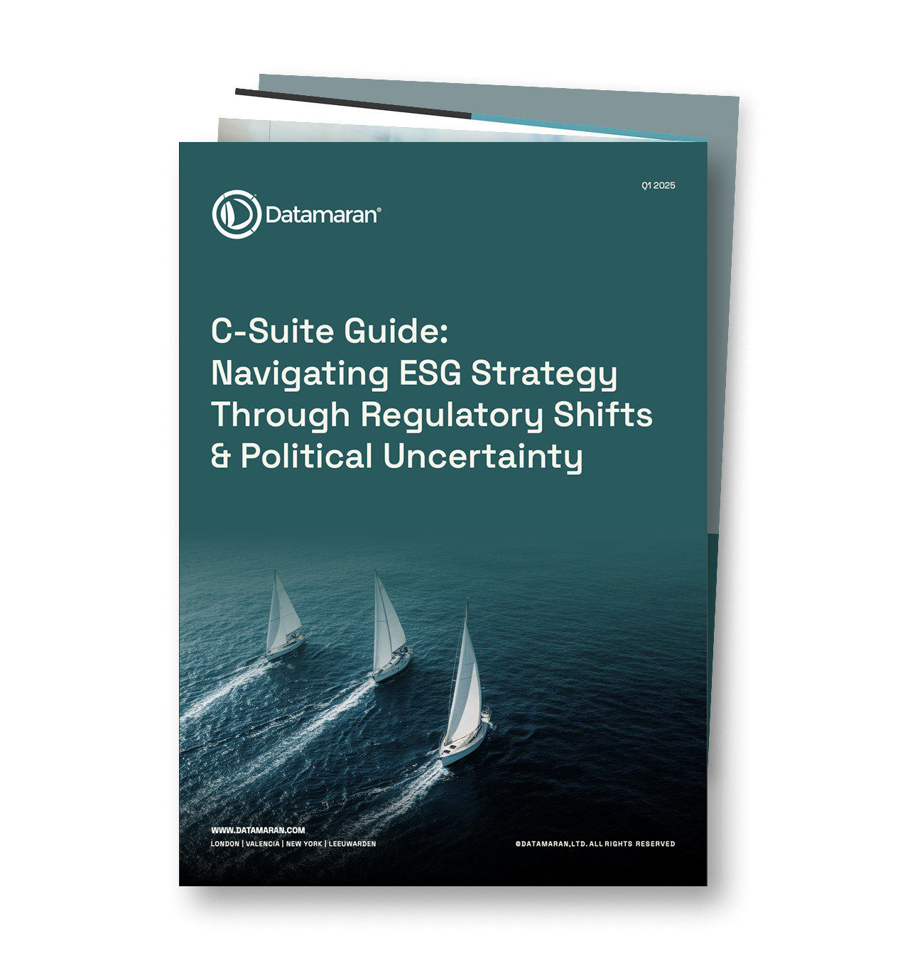 Datamaran_C-Suite_Guide_Q1_mockup